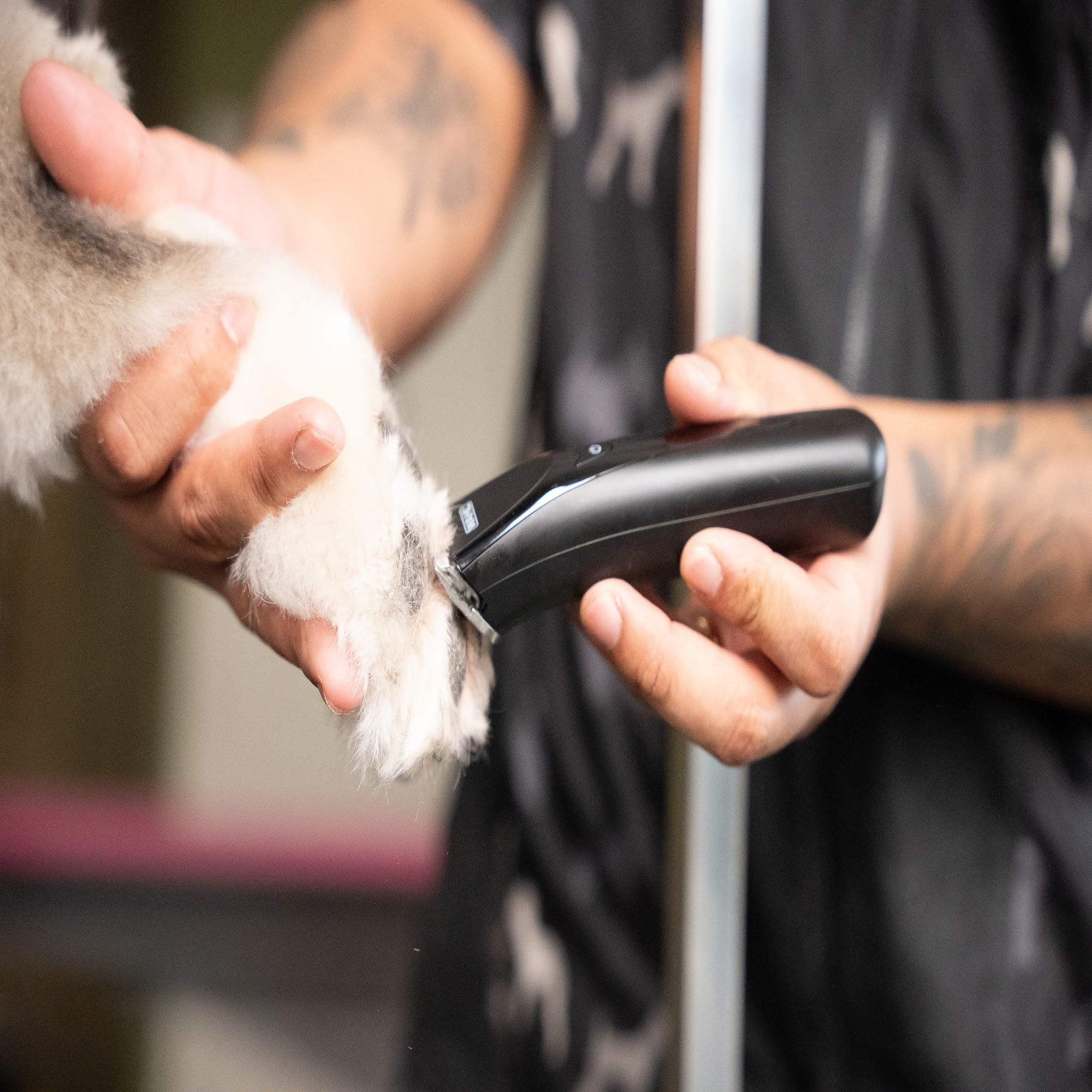 WAHL Fidela Trimmer Blade, 0,4 mm Schnittlänge, Trimmen, Pflegezubehör, Trimmeraufsätze, Pfoten & Gesicht, Stahl