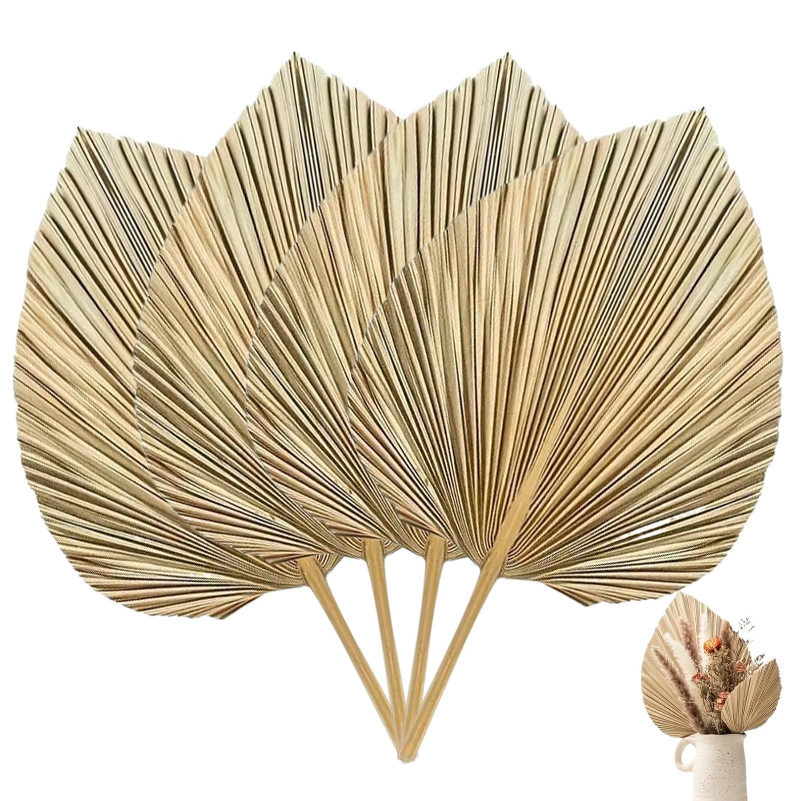 4 Pcs Palm Leaves 17x9" Naturally Dried Palm Leaves for Decor Boho Gold Palm Leaves with Stems Tropical Palm Fronds Bouquet for Boho Wedding Home Kitchen Vase Decor Large Palm Leaves Palm Leaves Decor