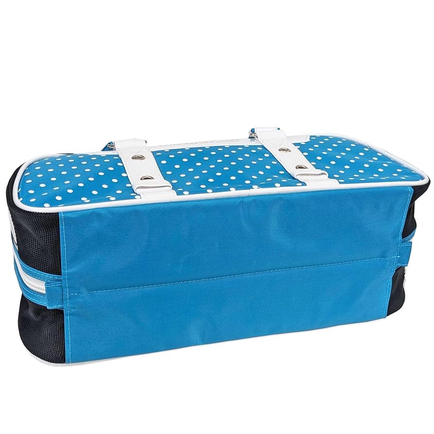 画材5点 Amazon | 絵の具セット (ブルードットリボン 12PF 小学生 絵具