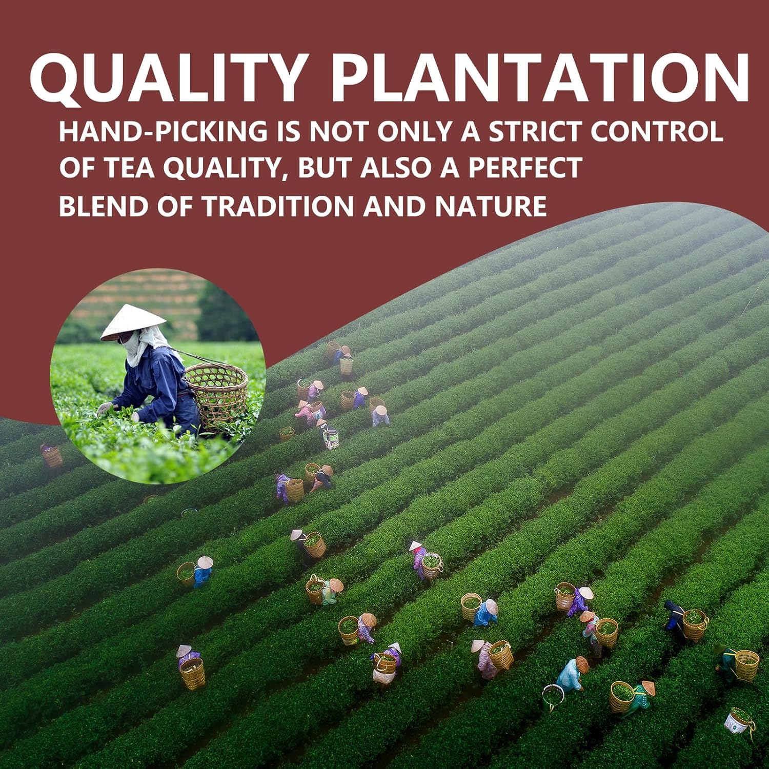 Premium High Mountain Loose Leaf Black Tea Natural Fragrance Healthy Chinese Tea 200g - Image 6