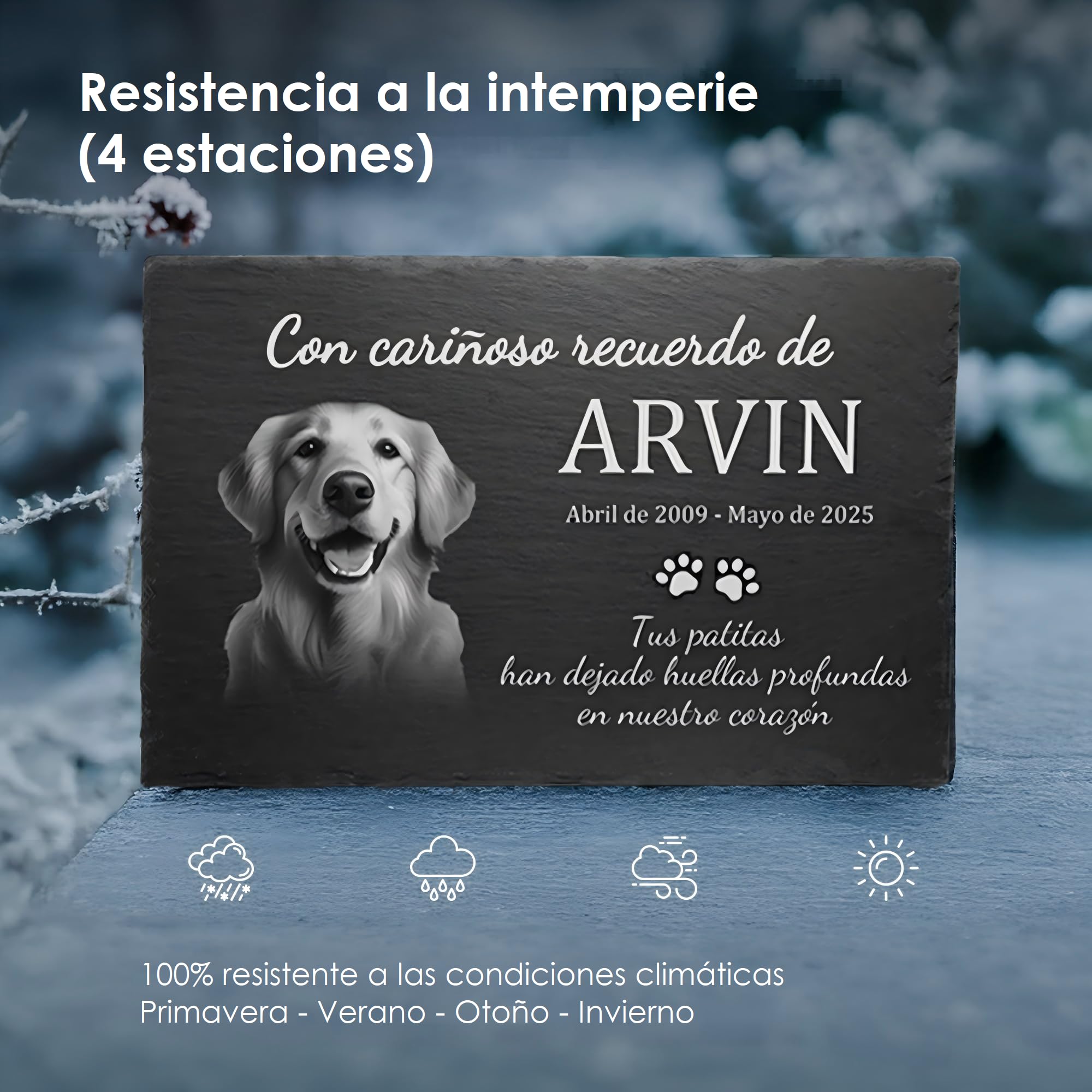 Placa Conmemorativa Personalizada para Mascotas en Pizarra Natural – Memorial para Perro o Gato con Foto y Texto Grabado – Apta para Exterior – 30x15 / 30x20 / 40x30 cm