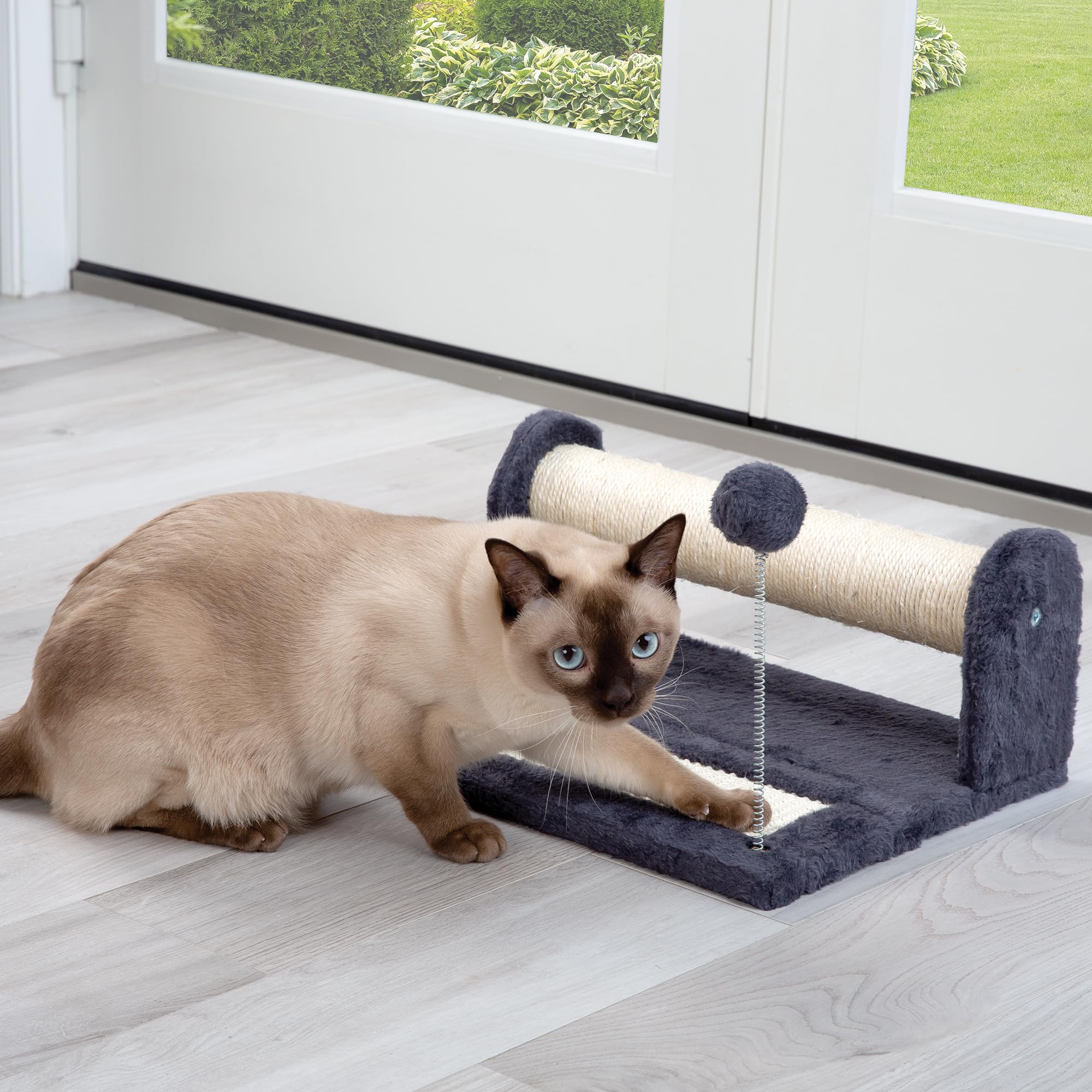 Etna Products Kitty Scratch n' Play Center. Scratchers for Indoor Cat. Attached Ball for Exercising and Activity.