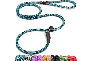 Fida Leash: Unwavering Control for Your Canine Companion