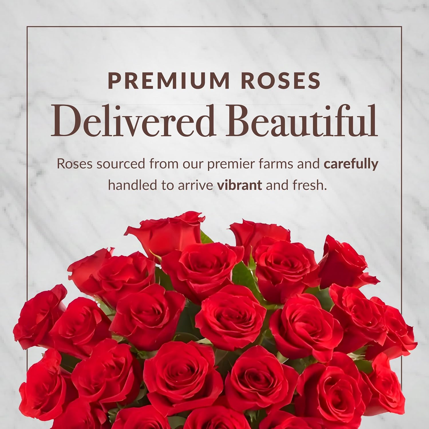 Shari’s Berries 24 Classic Red Roses & 6 Chocolate Covered Strawberries Gift Set | Chocolate & Fresh Flower Gift Box | Easter Baskets, Anniversary, Celebrations & Thank You’s