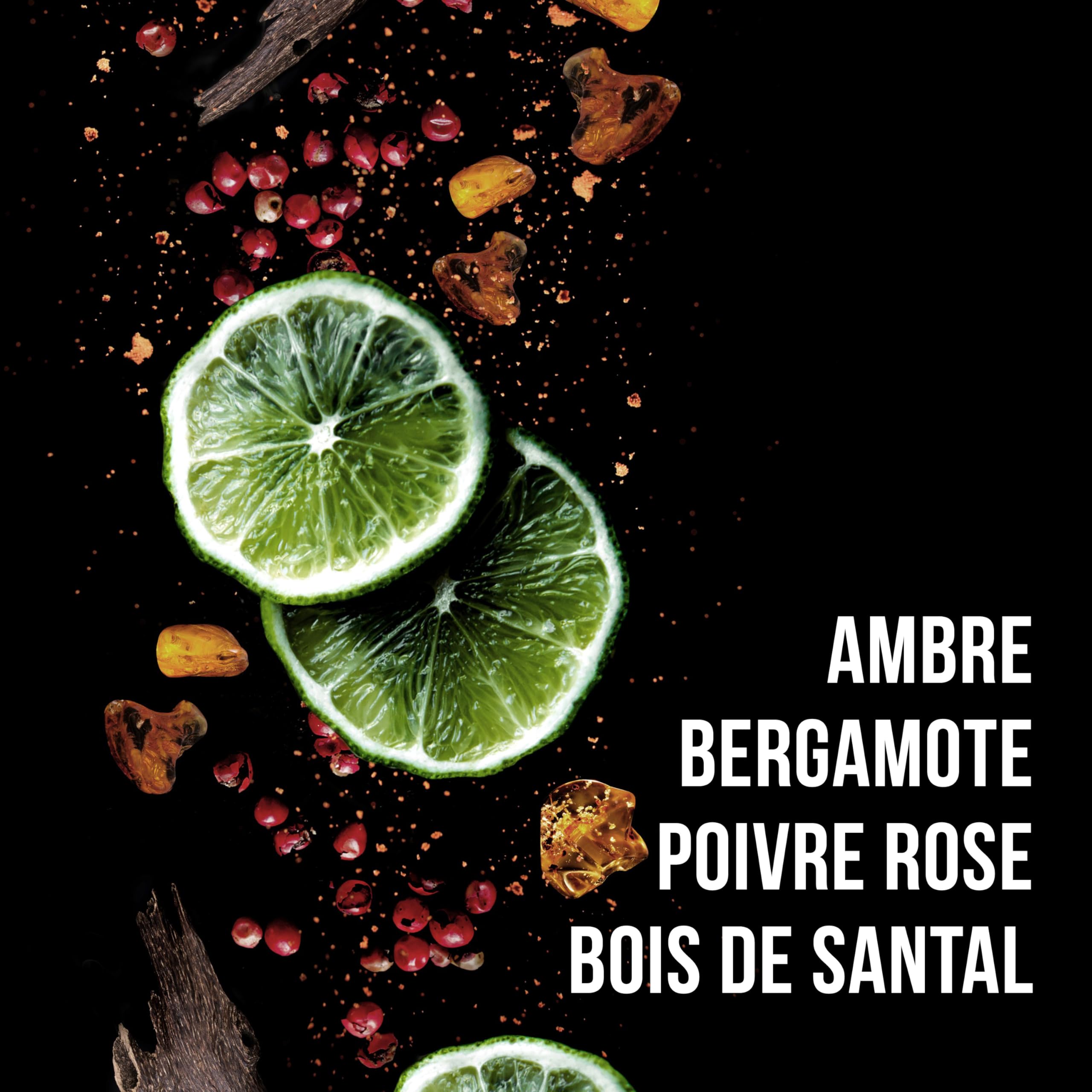 SEB MAN Pommade Tenue Légère, 75ml