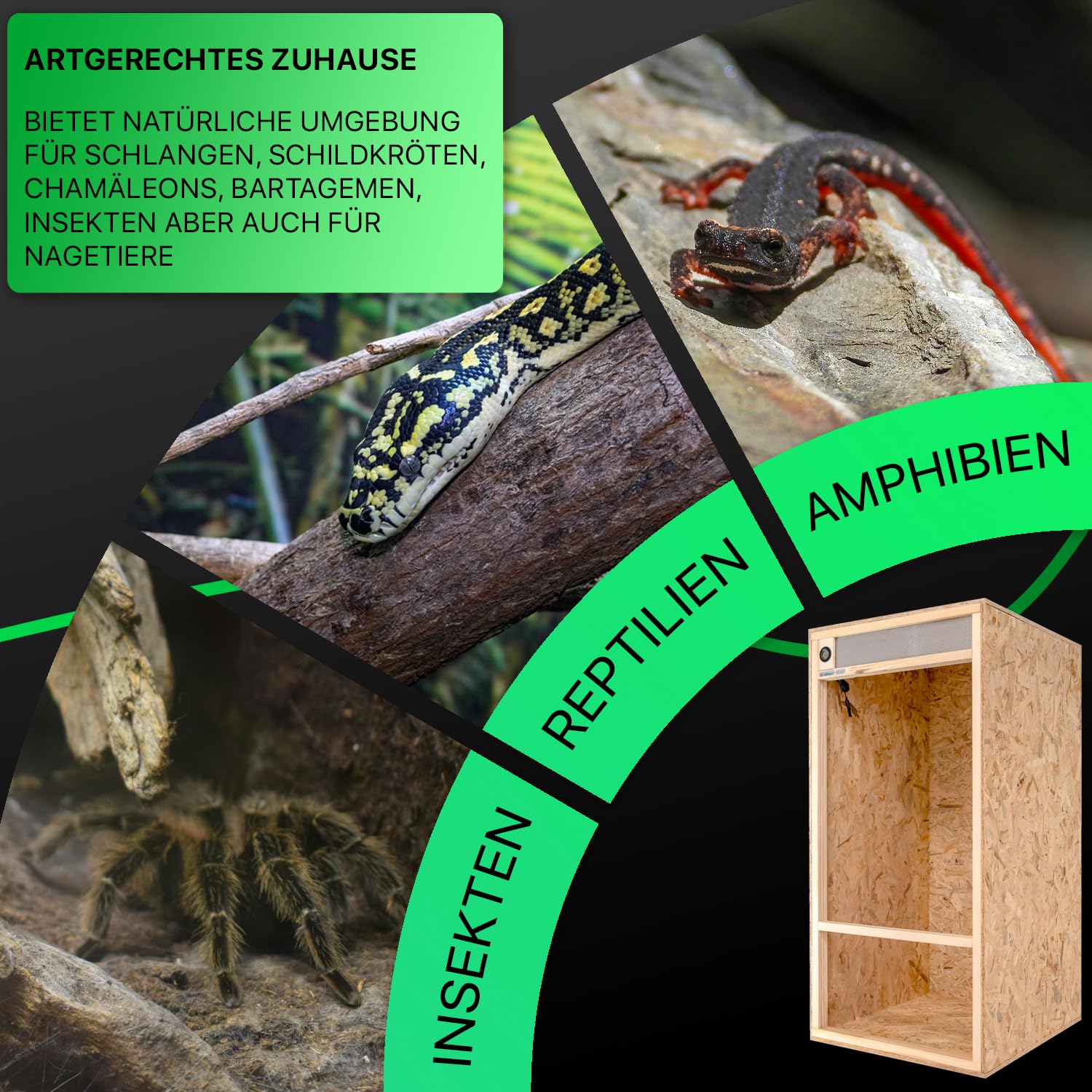 ITA Hochterrarium 60x120x60 cm mit Frontbelüftung & Integriertem Hygrometer - Holz Terrarium aus OSB-3 Platten - Terrarien für Reptilien, Schlangen, Amphibien - EU Produkt, FSC Zertifiziert