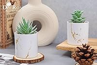 Vista 5 de Der Rose Juego de 2 plantas suculentas artificiales Mini plantas suculentas falsas para accesorios de oficina y hogar para mujeres