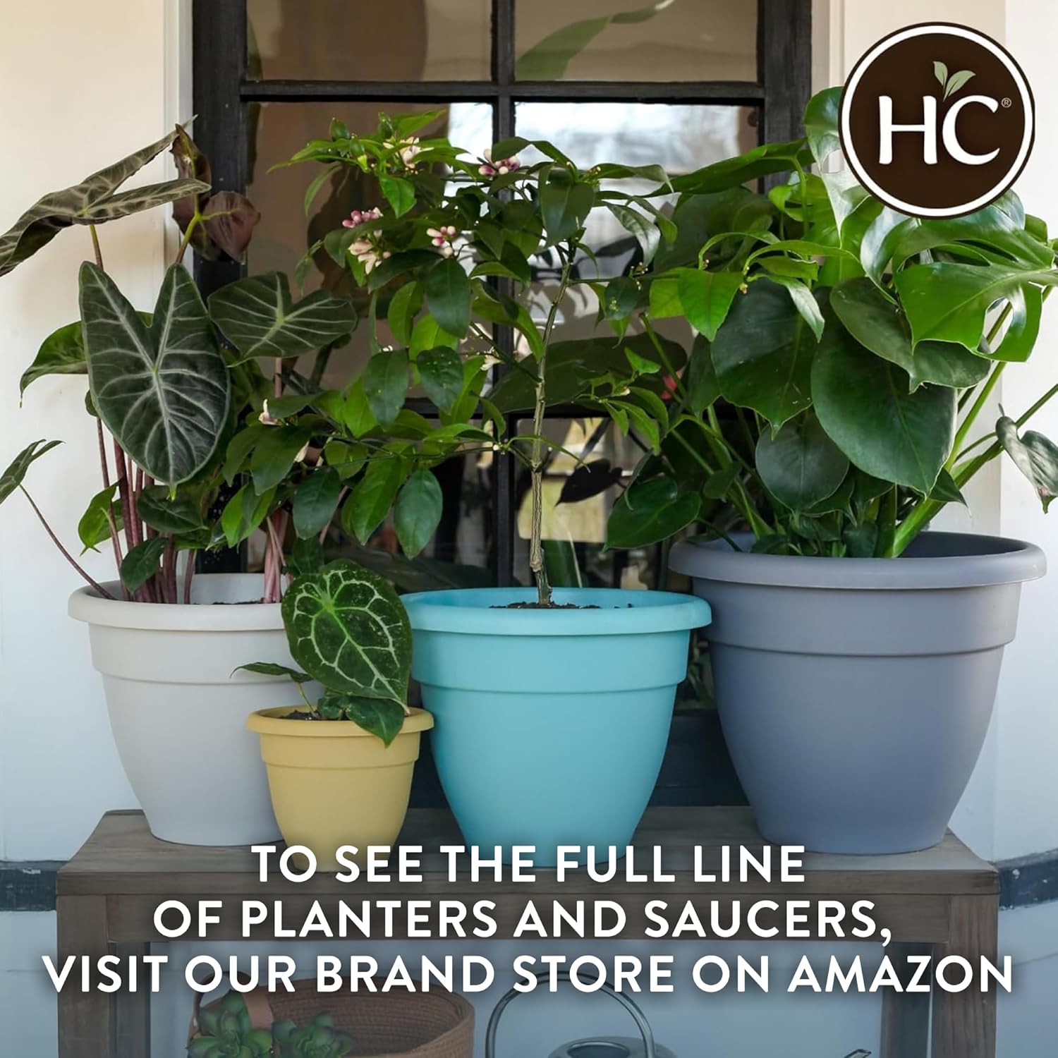 https://m.media-amazon.com/images/I/81LcIUcTsNL._AC_SL1500_.jpg