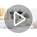Coferset Eucalyptus Stems in Glass Vase with Faux Water, 14" Eucalyptus Fake Plants for Home Bathroom Counter Office Kitchen Farmhouse Shelf Centerpiece Coffee Table Decor(Sage Green)