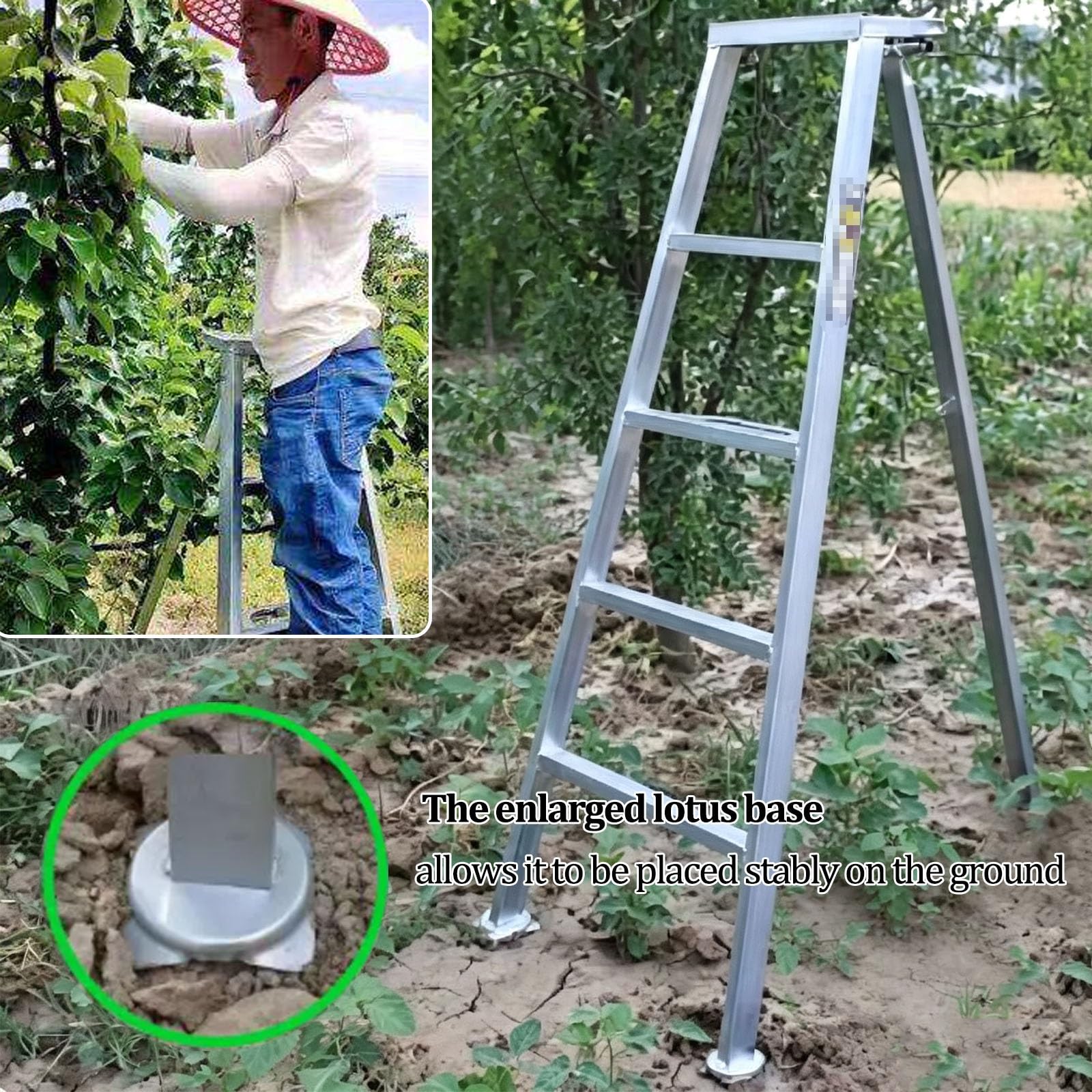 Échelle d'élagage pour terrasse, échelle Pliante Robuste