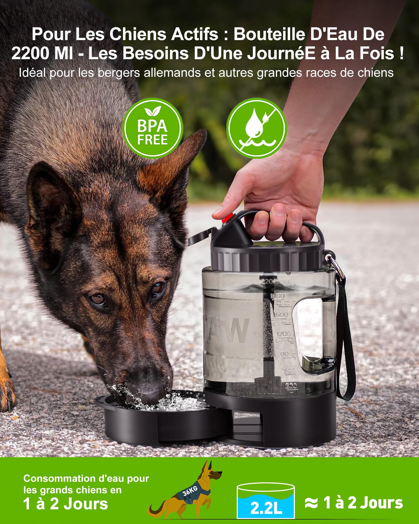 lesotc 2200ml Gourde Chien Promenade, Bouteille d'eau Portable pour Chien, Prévention des Fuites d'eau, Convient pour l'Extérieur, Les Voyages, La Marche, Le Camping Et d'autres Scènes（Noir）