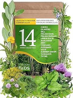 14 Culinary and Medicinal Herbs Seeds Variety Pack - 100% USA Grown, Non-GMO - Herb Garden Heirloom Seeds for Planting Ind...