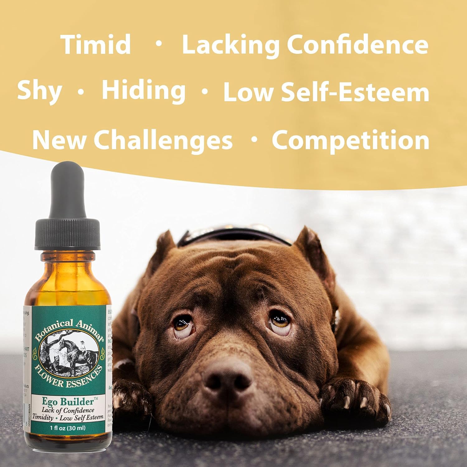 Botanical Animal Safe Natural Flower Essence Combination Competitive Edge Kit - Calm, Cool, Collected Animals During Show & Competition - Non-Mood Altering, Hemp-Free, Non Allergenic - 1 oz (30 ml)