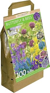 GreenBrokers Big Value Butterfly & Bees Collection (100 Bulbs) Bee Friendly