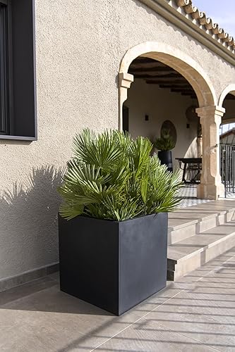 Miniatura 4 de Pottery Pots Elegante maceta de fibra de piedra, color negro, 12.0 x 12.0 x 12.0in