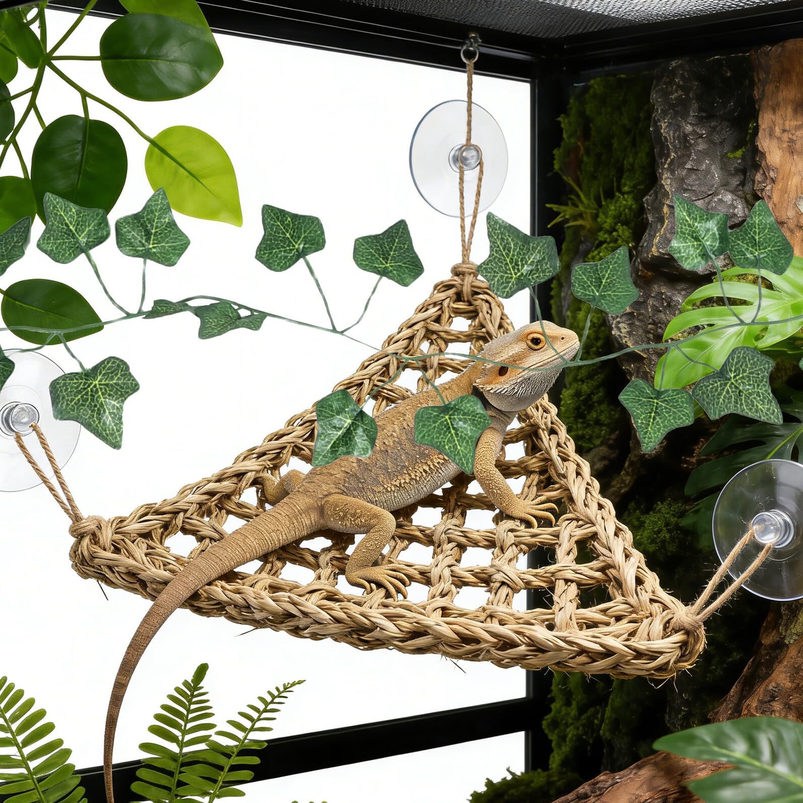 Set 4 Pezzi Accessori per Rettili da Arrampicata Ponte in Legno, Amaca a Triangolo e Decorazioni Naturali, Struttura per Terrario per Serpenti, Lucertole e Cincillà