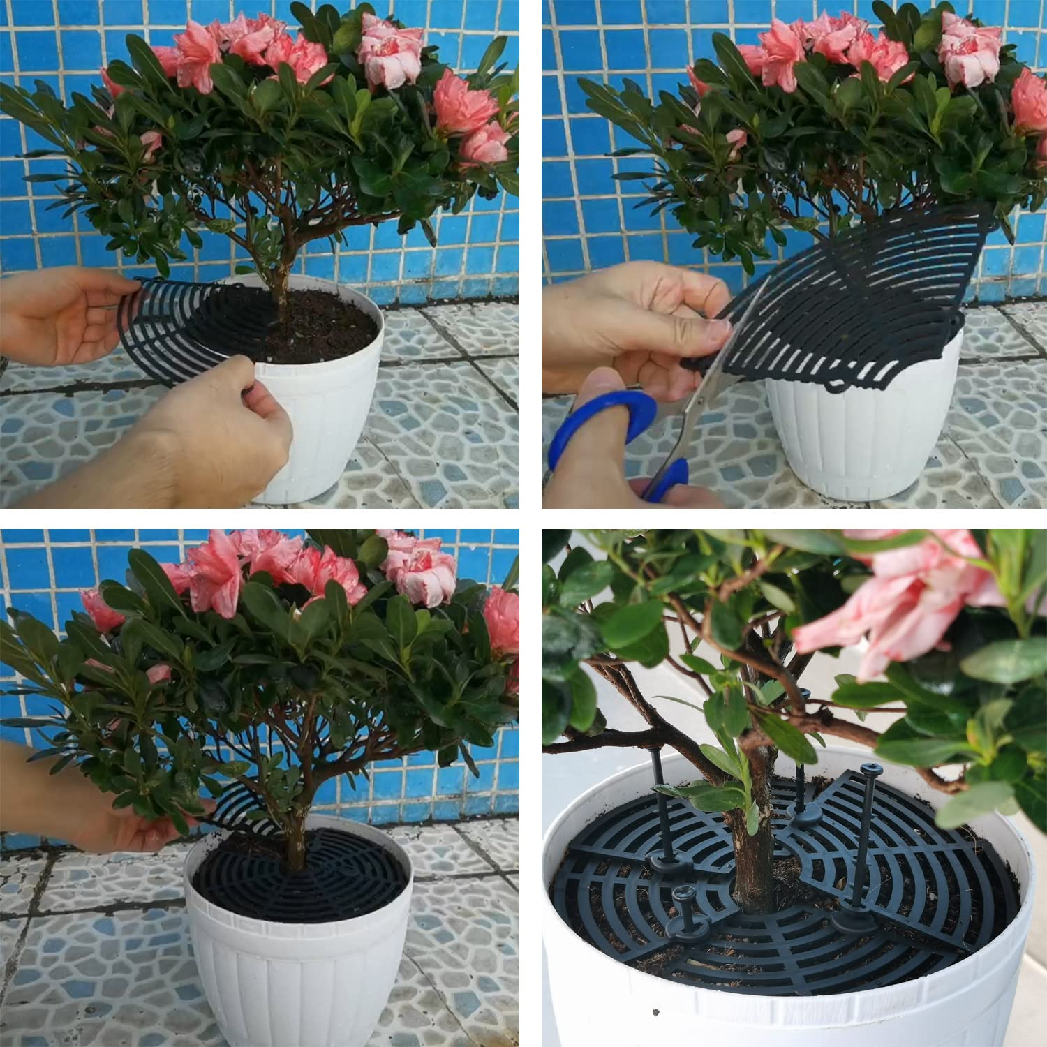 Set di 2 griglie di protezione per vasi da fiori, anti-gatto