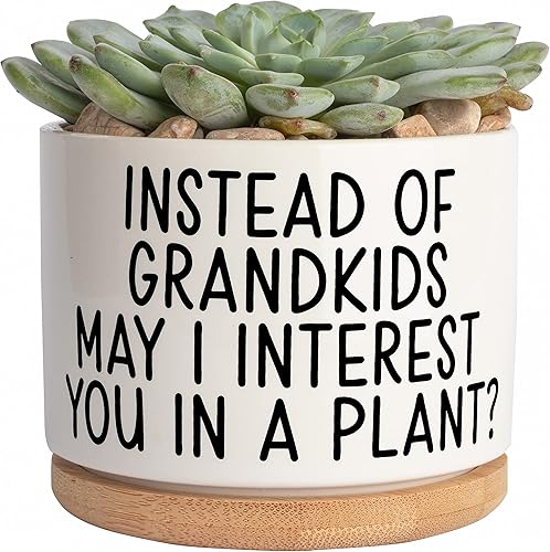 JENVIO Regalos para mamá de hija  Planta suculenta de cerámica  Cosas geniales para cumpleaños, Día de la Madre  Regalo único  Decoración para el