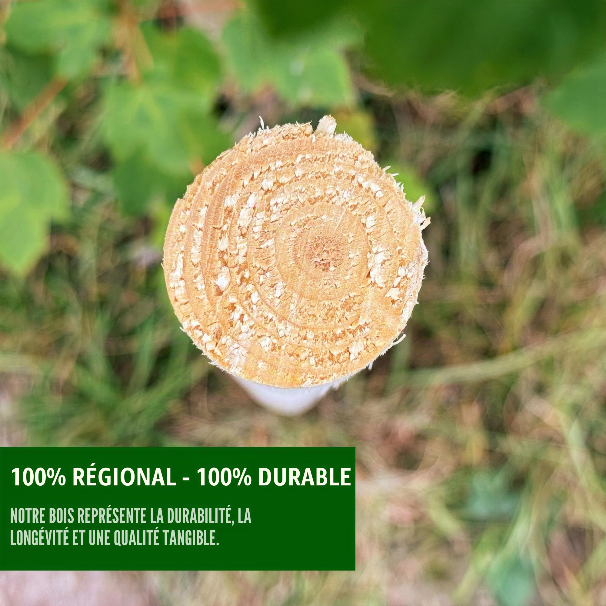 Lot de 10 piquets ronds en bois naturel de 6 cm de diamètre - Différentes longueurs et épaisseurs - Idéal comme piquets de clôture, piquets de plantes ou piquets d'arbres (longueur 100 cm)