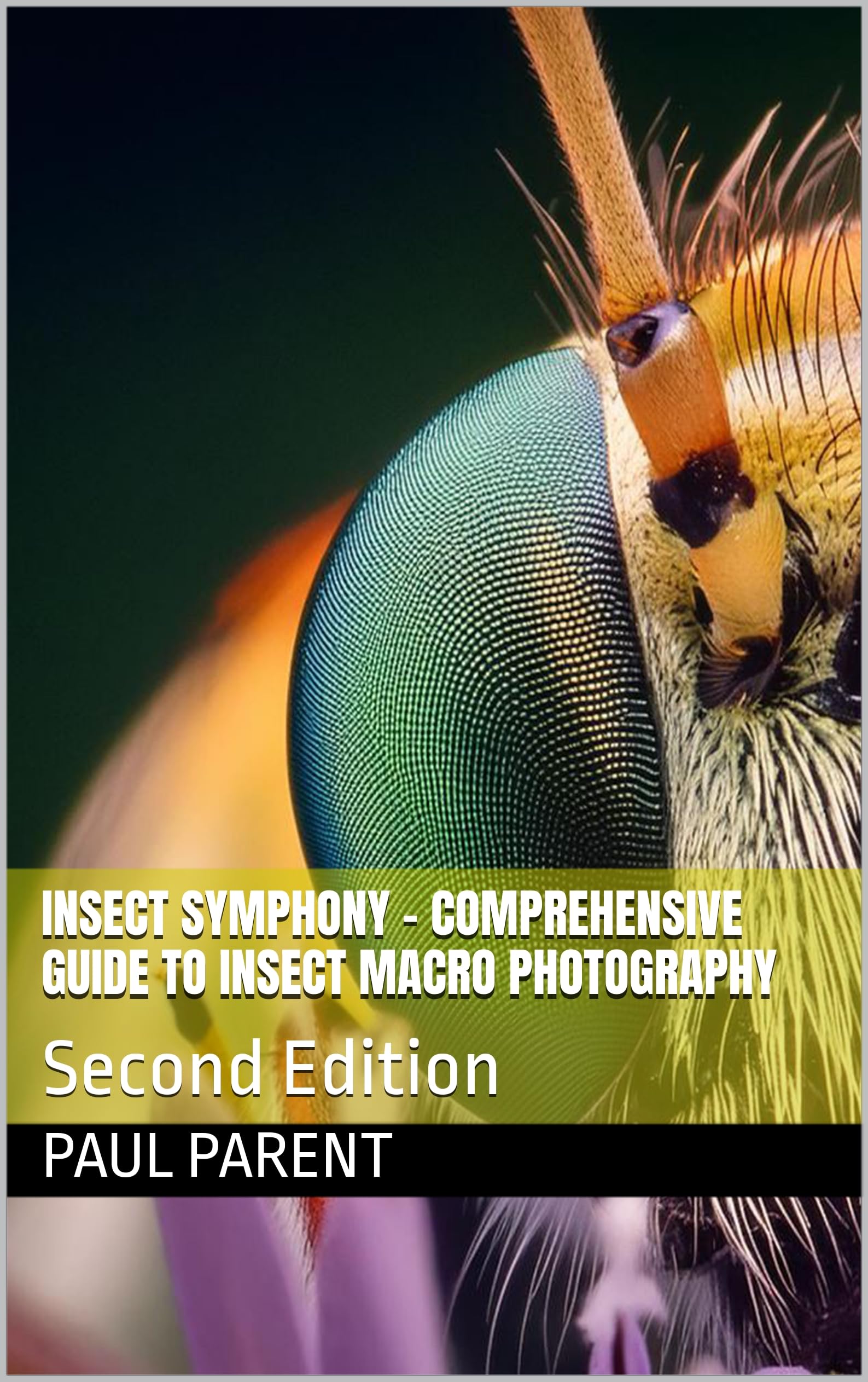 Macro photographie insectes livre technique Insect Symphony anglais