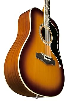 シ*ン様 エレアコ　EKO Ranger VI VR　Honey Burst E RANGER VI VR Honey burst