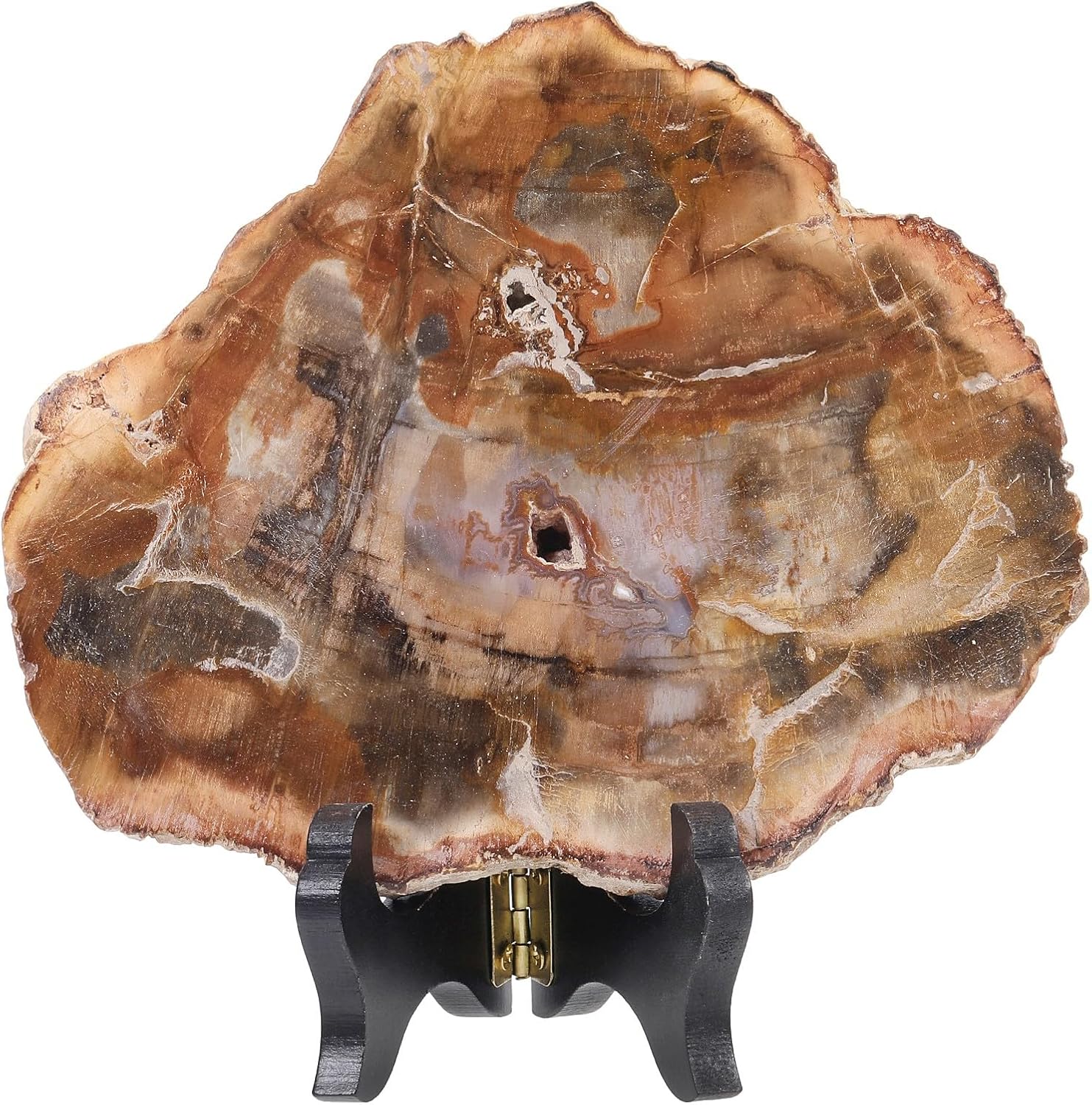 moonsix Irregular Petrified Wood Slab with Wooden Stand, Natural Mineral Stone Specimen Display for Feng Shui Decor Collection