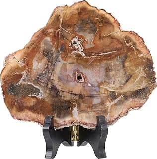 moonsix Irregular Petrified Wood Slab with Wooden Stand, Natural Mineral Stone Specimen Display for Feng Shui Decor Collection