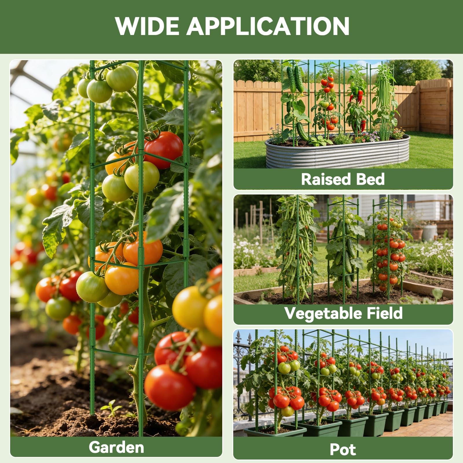 Halatool 6 paquetes de jaulas de tomate, jaula de tomate expandible de hasta 62 pulgadas con 60 lazos giratorios, jaulas de tomate altas con brazos ajustables a presión para verduras (2 hebillas)