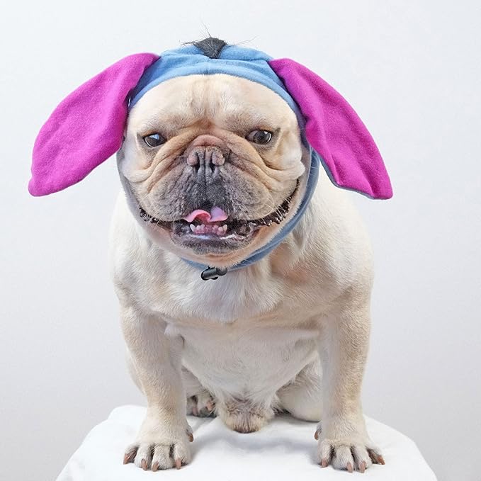 Sombrero Disfraz de Burro para Perros con Orejas, Talla L, Azul miniatura 8