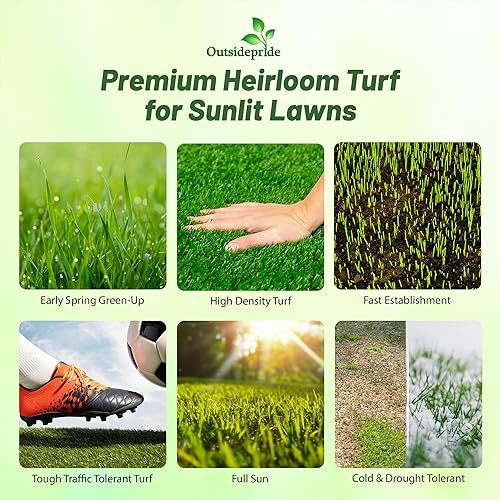 Miniatura 2 de Outsidepride Full House - Mezcla de semillas de césped de bermudas  2 libras. Mezcla de césped de temporada cálida prémium de semillas de césped de
