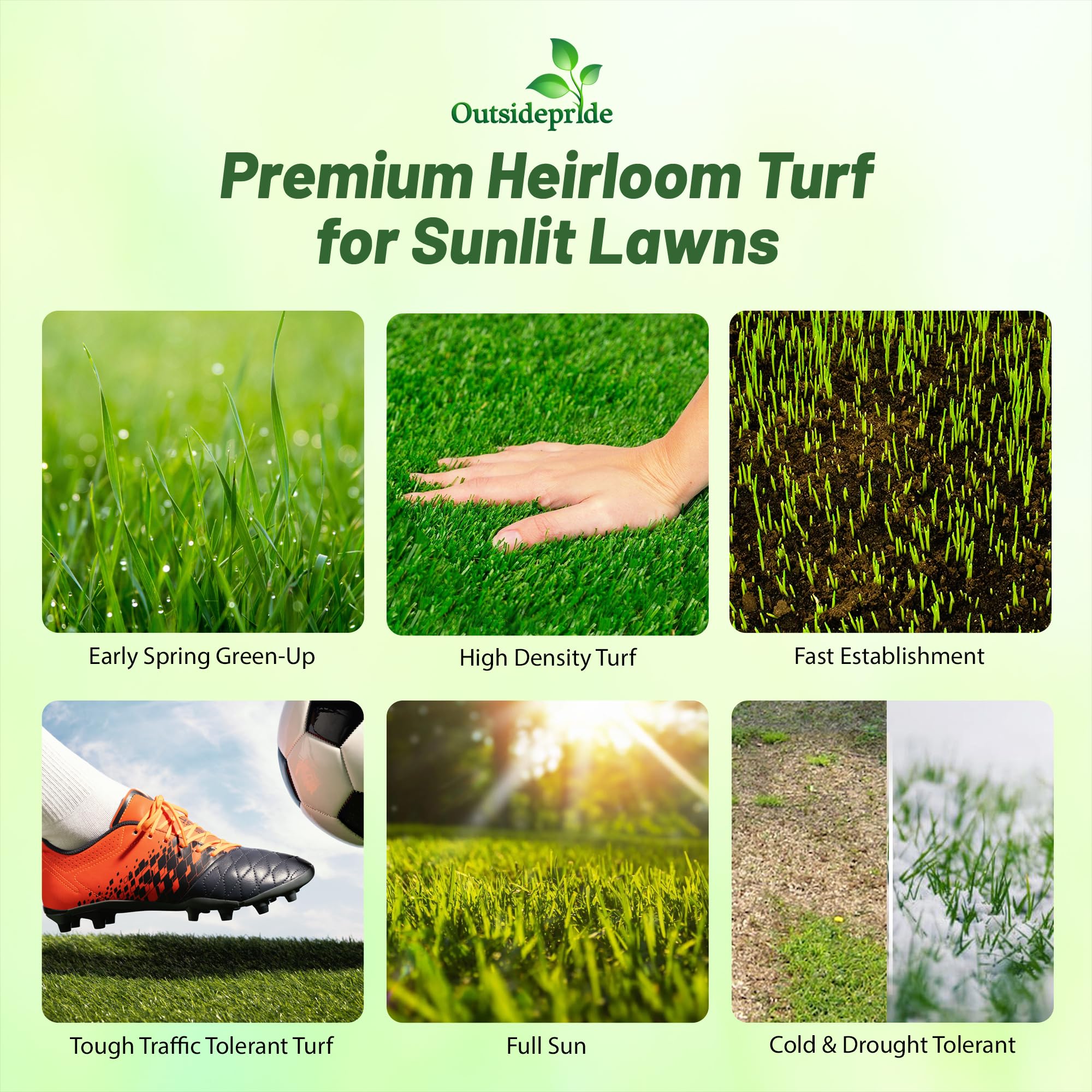 garden vegetables seeds 75 Vegetable & Greens Seeds Kit