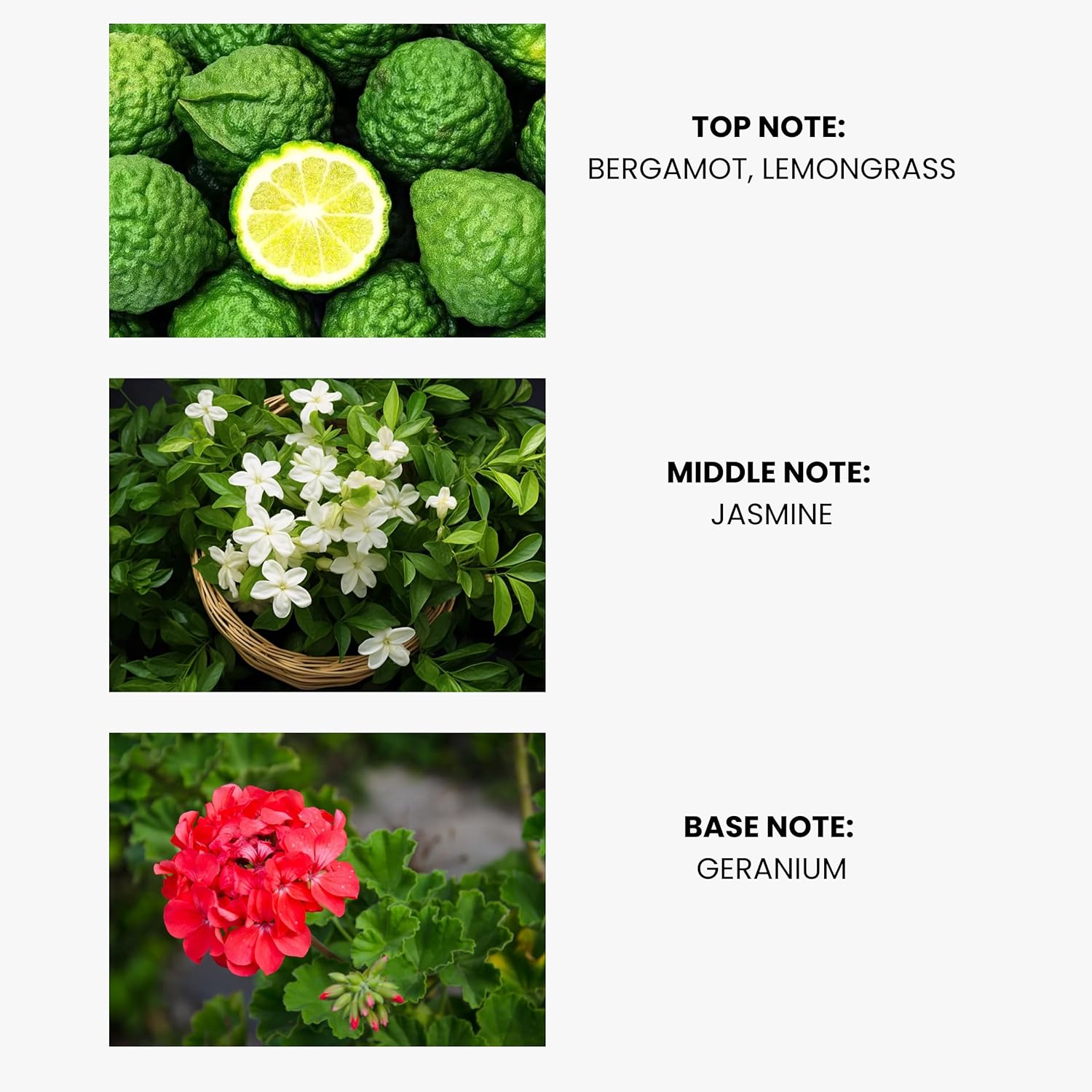 Lemon Grass Essential Oil for Diffusers - Premium Aromatherapy Oils Set for Home and Hotel, Scented Oil Diffuser for Relaxation, Eco-Friendly, Safe for Family & Pets, Diffuser Refill 100ml