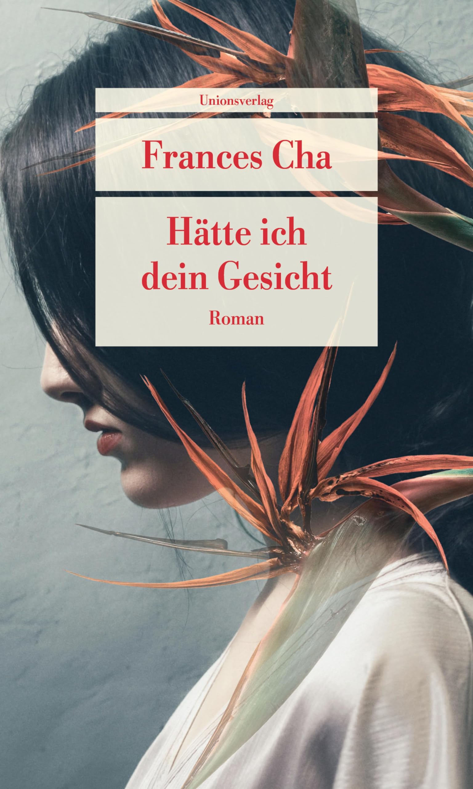 Unionsverlag Hätte Ich Dein Gesicht: Roman (Unionsverlag Taschenbücher)
