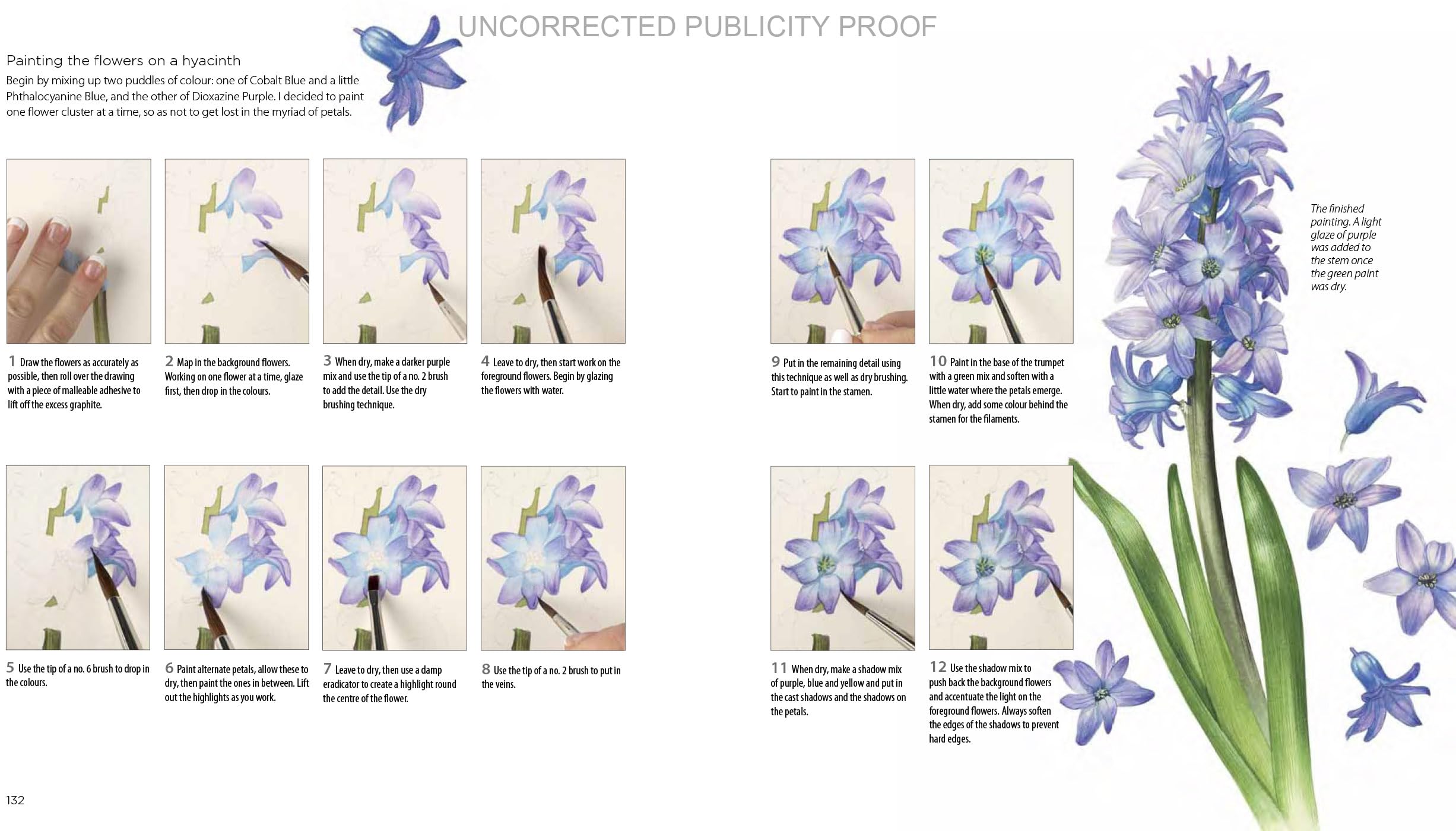 Billy Showell Botanical Painting Watercolour
