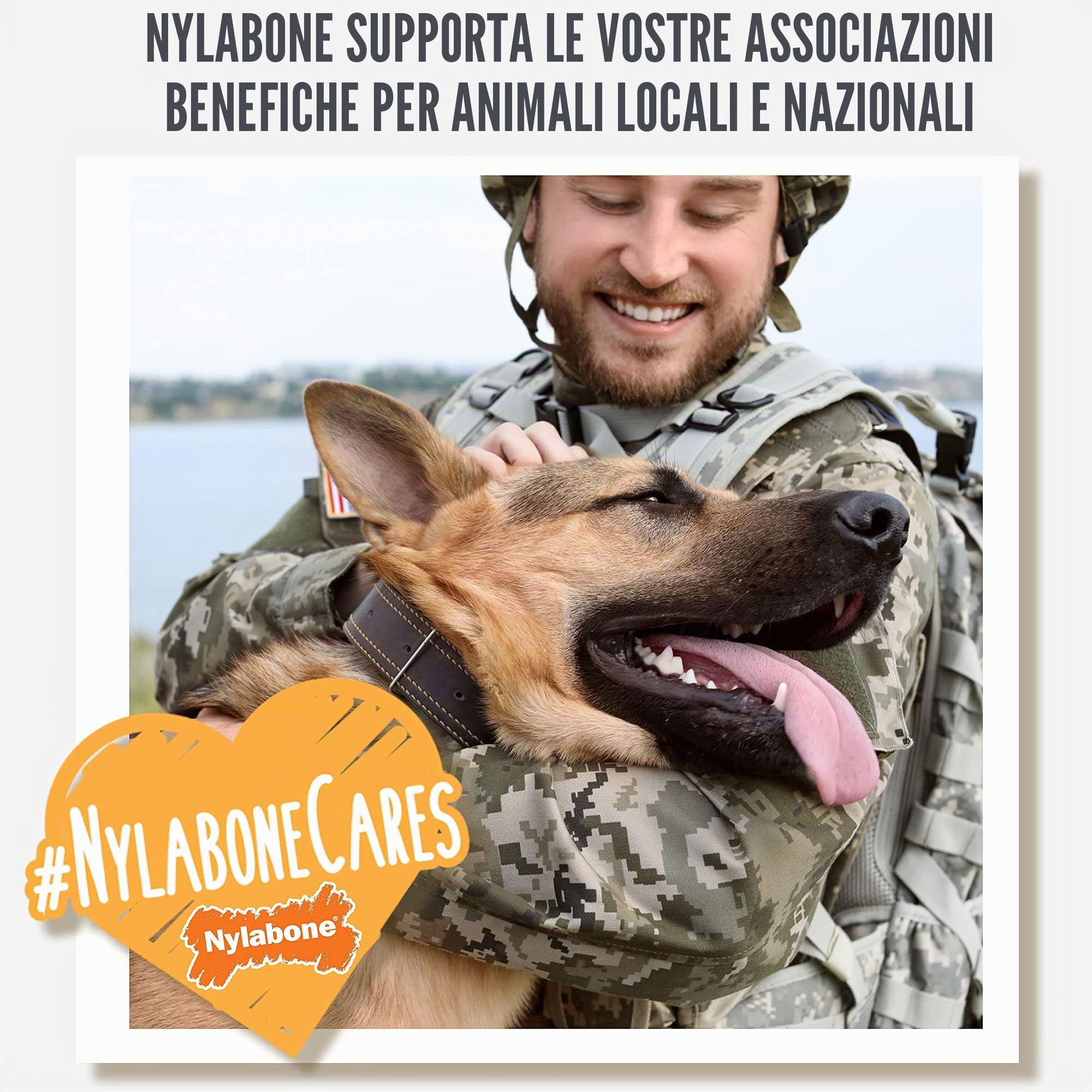 Nylabone Power Play Gripz - Palla da calcio per cani, con design facile da raccogliere, misura media, 14 cm