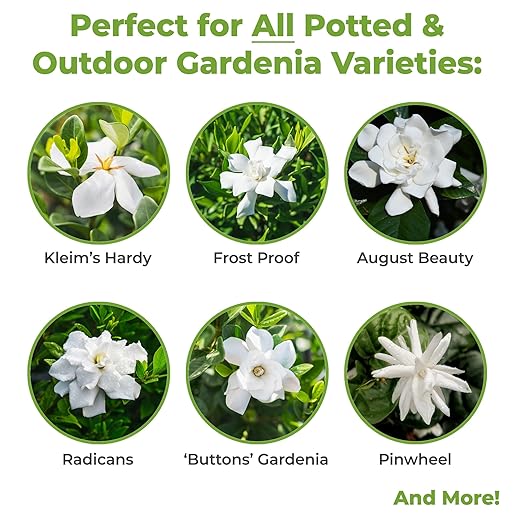 Fertilizante Líquido Perfect Plants Gardenia 8 oz miniatura 3