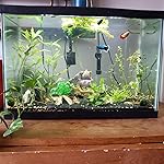 Review Image by marquelle marquelle