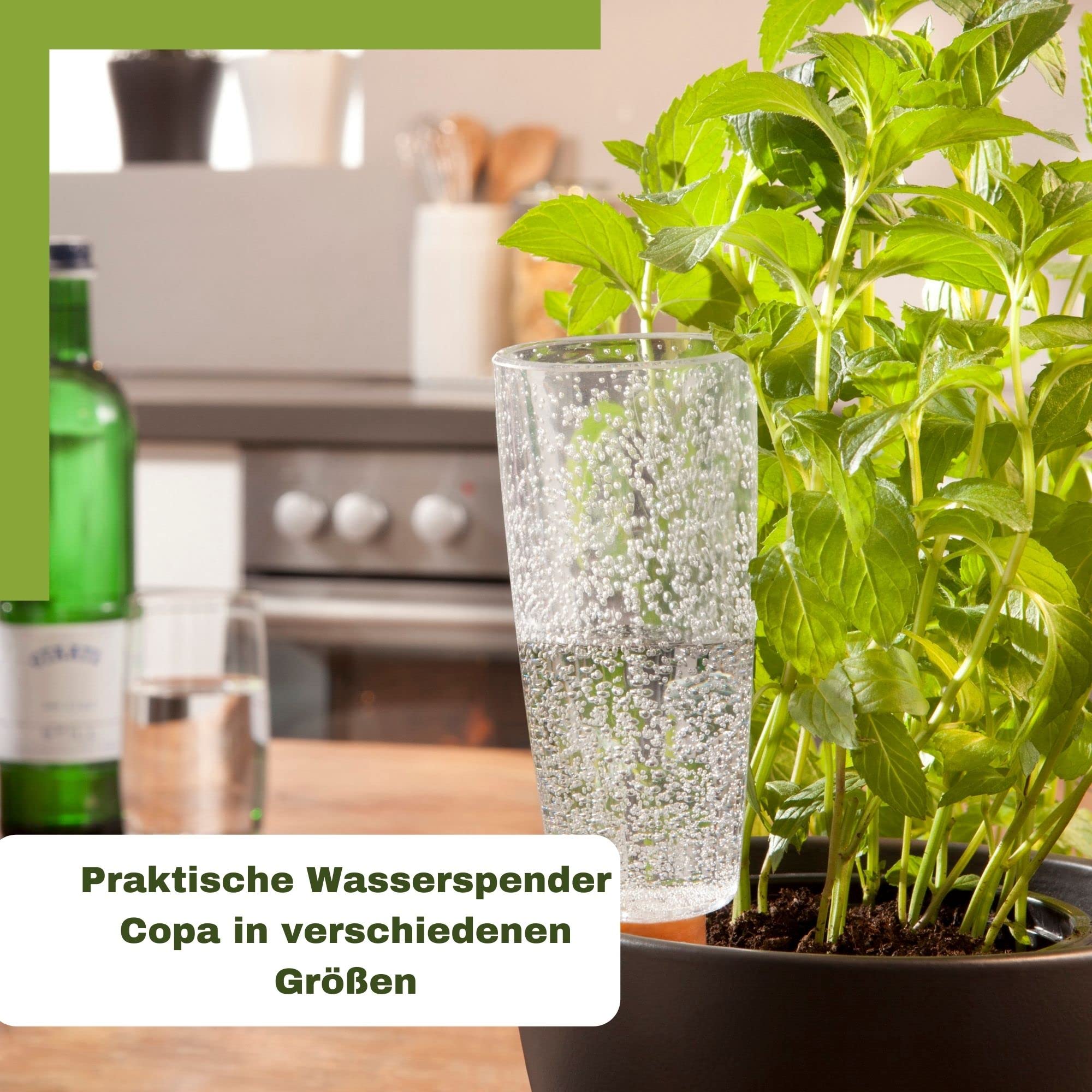 Scheurich Wasserspender Copa XXL | 4er Set Grün/Transparent | 1000 ml Füllmenge | Bewässerungskugel klein mit Ton Fuß | Wasserspender Pflanzen und Blumen Terrakotta Stiel