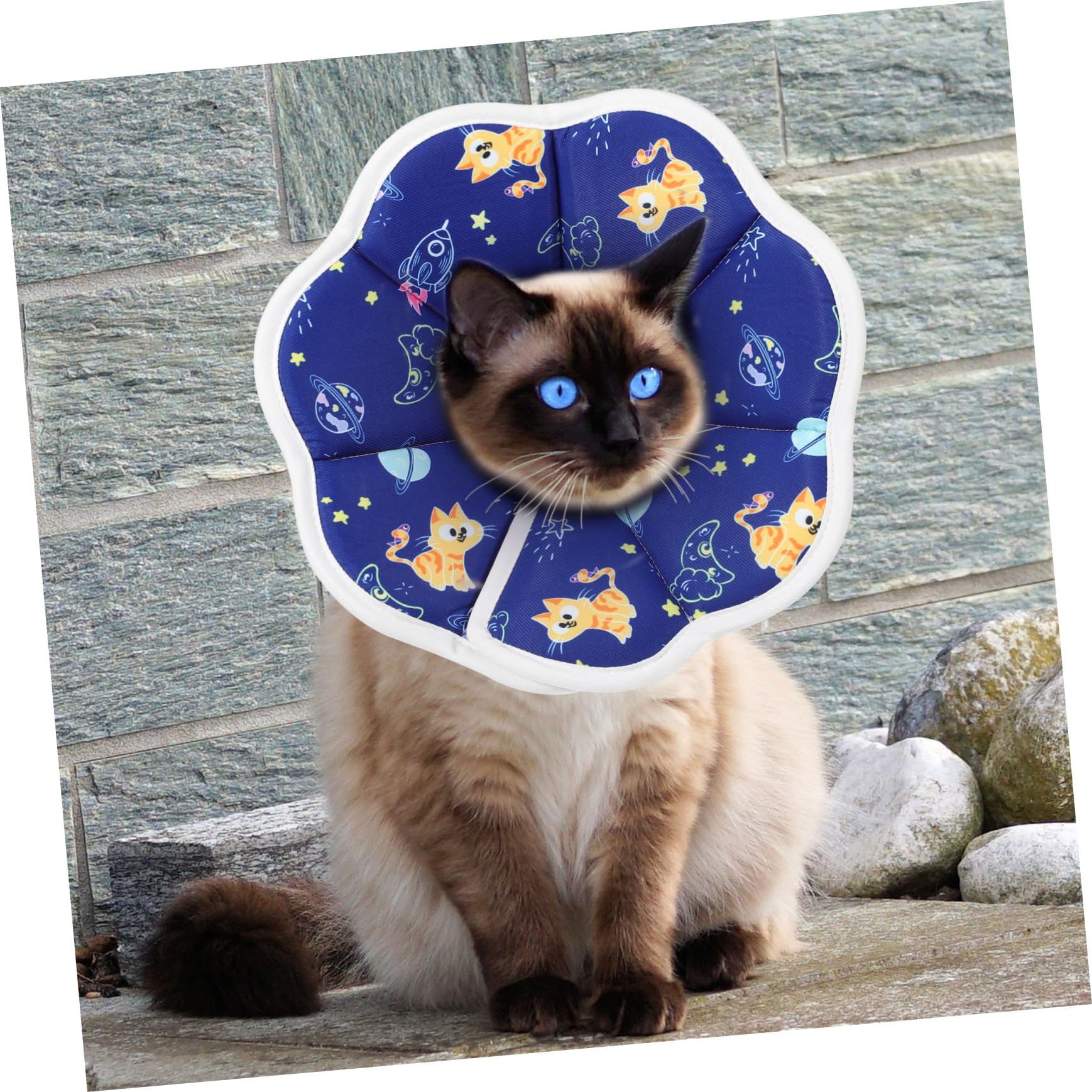 POPETPOP 5 Pz morbido per gatti coni per gatti dopo l'intervento collare elisabettiano gatto collarino cane cucciolo collarini gattini ciambella di gatto gattino spugna