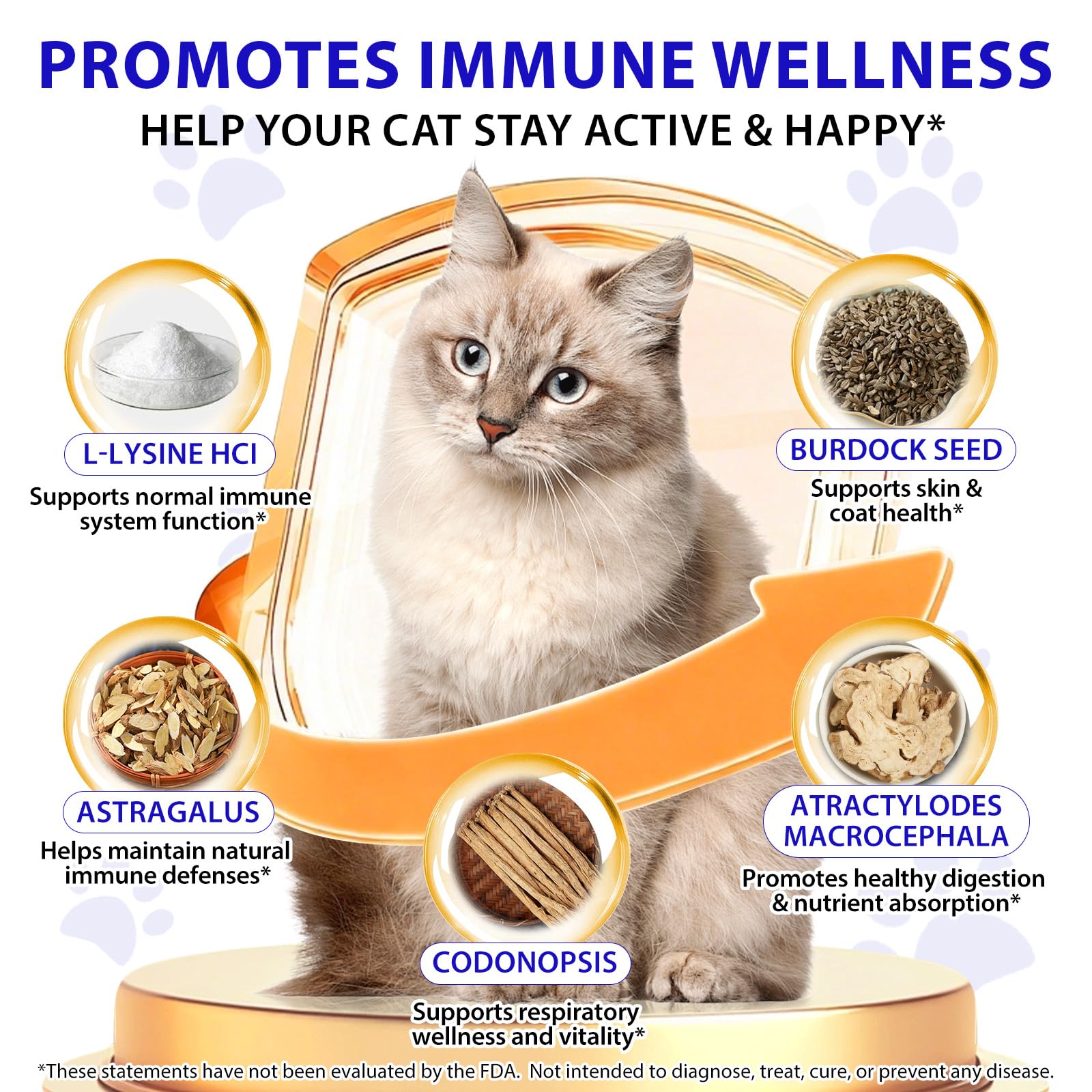 L-Lisina para Gatos, 60ML Lisina Gatos Aliviar Alergias en Gatitos, Estornudos, Gripe Felina, Antibióticos para Gatitos con Vitaminas y Minerales