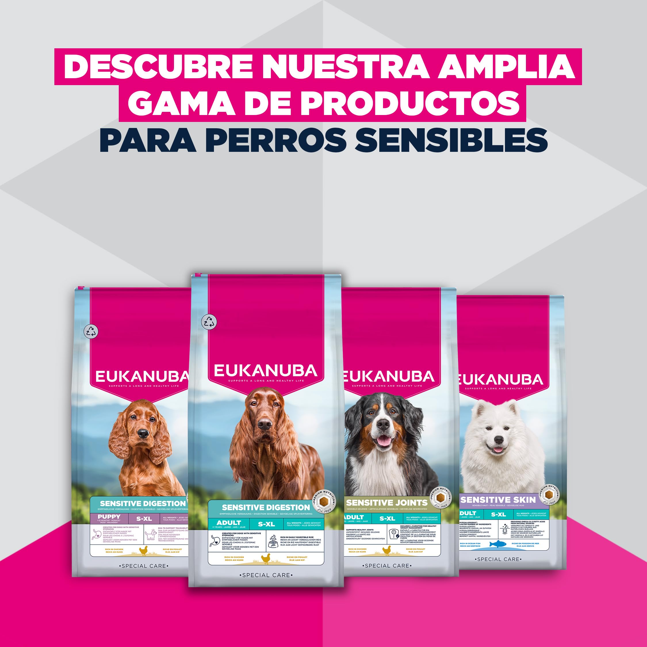 EUKANUBA Sensitive Skin - Alimento Seco para Perros, Pescado, 12kg | Special Care | Hipoalergénico | Pescado de mar | Para perros con piel sensible