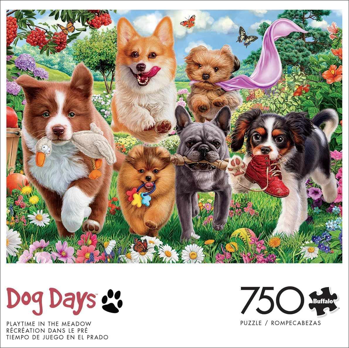 Buffalo Games - Image World - Playtime in The Meadow - 750 Piece Jigsaw Puzzle for Adults -Challenging Puzzle Perfect for Game Nights - Finished Size is 24.00 x 18.00