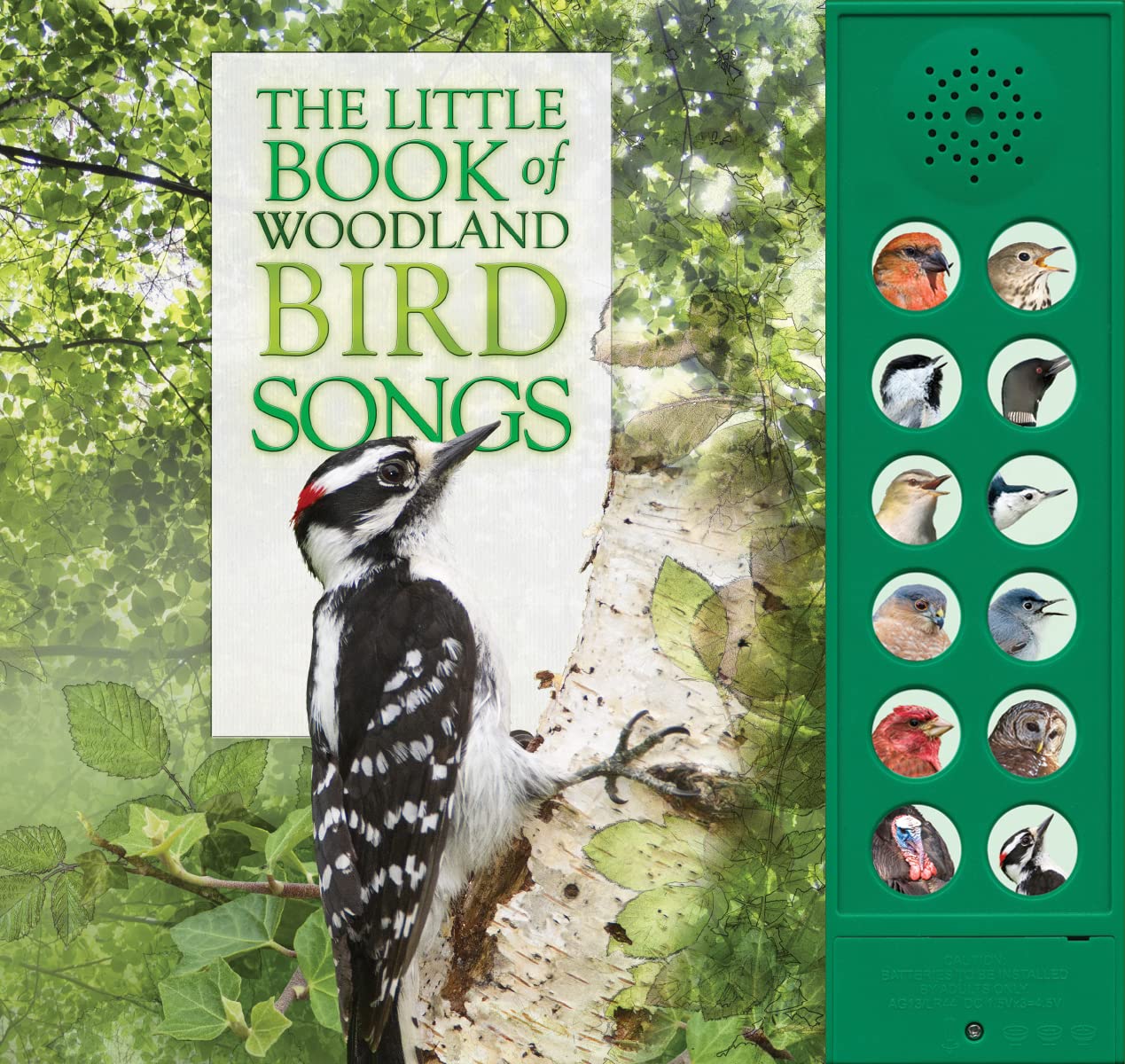 The Little Book of Woodland Bird Songs Hardcover – Sound Book, September 25, 2018