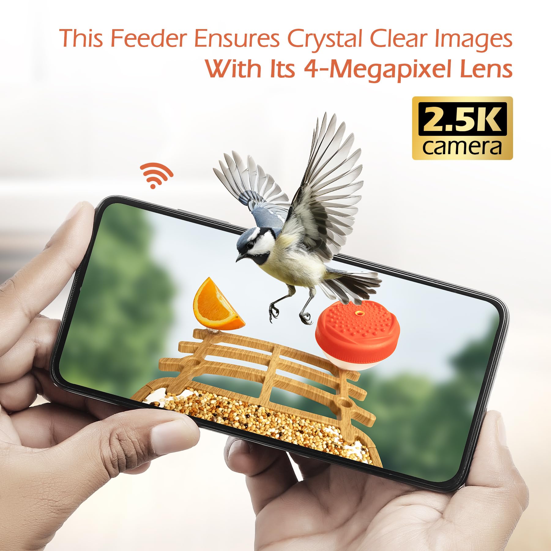 Alimentatore intelligente per uccelli con fotocamera, AI Identify 10000+ uccelli 2.5K HD pannello solare mangiatoie per uccelli selvatici per gli amanti degli uccelli, regalo esterno per gli amanti