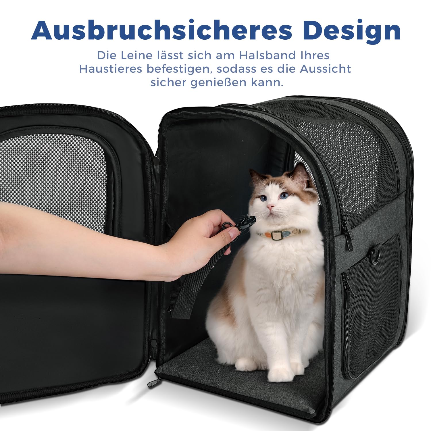 apollo walker HundeRucksack und KatzenRucksack für Kleine Haustiere(Belastbarkeit 2-15kg) - Gepolsterter Rückenstütze Hundetasche Atmungsaktiver Netz-Tierrucksack für Wandern, Reisen, Schwarz