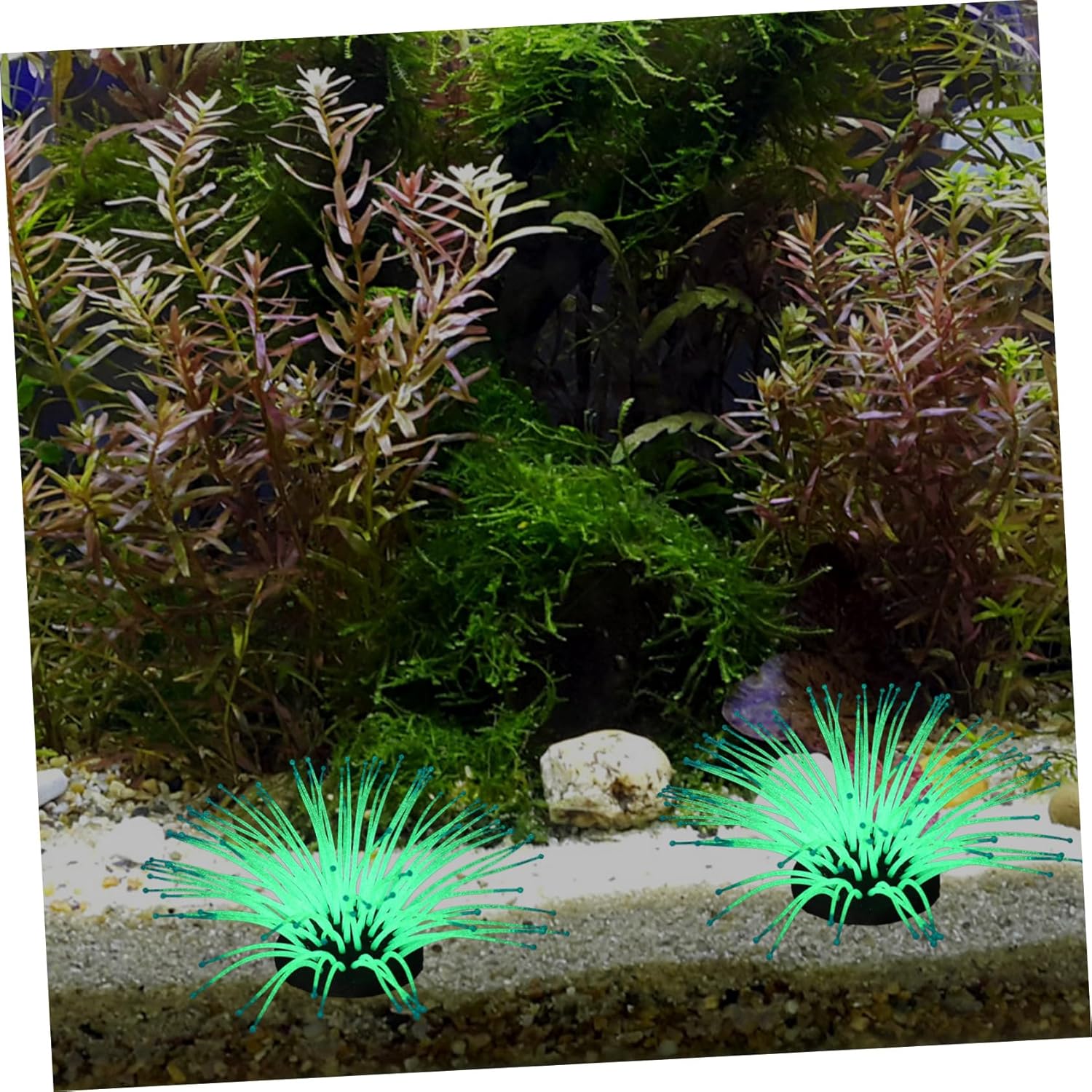 3pcs Artificial Coral Small Aquarium Kit Aquarium Plant Coral Statue Fish Feeder Fish Landscaping Coastal Statue Coral Model Blue Coral Aquarium Coral Ornament