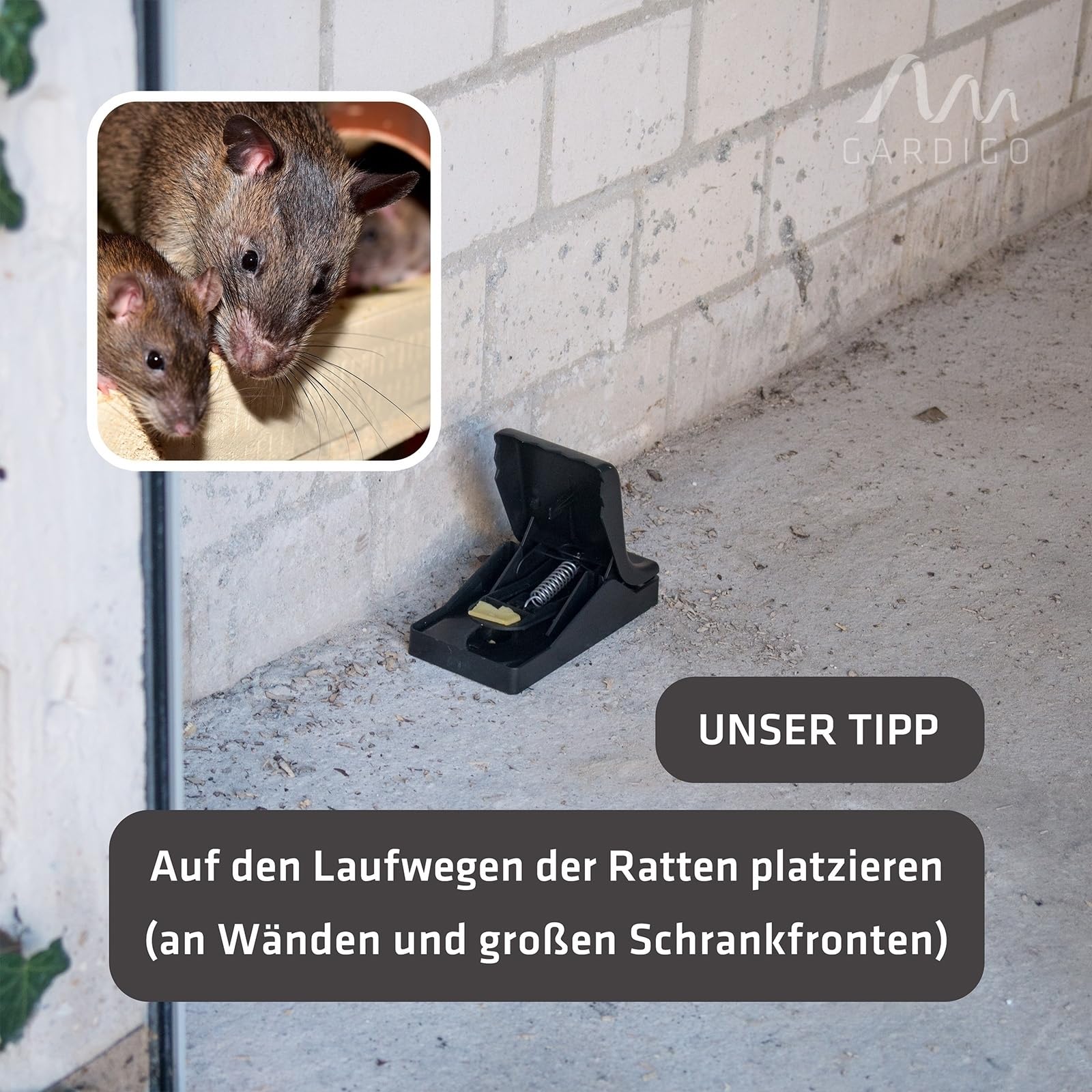 Gardigo Rattenfalle mit Kder - 2er Set | Professionelle Schlagfalle mit  breitem Spannhebel zum einfachen Spannen | Integrierte Rattenkder |  Wiederverwendbar Hygienisch Dank Kunststoff : Amazon.de: Garten