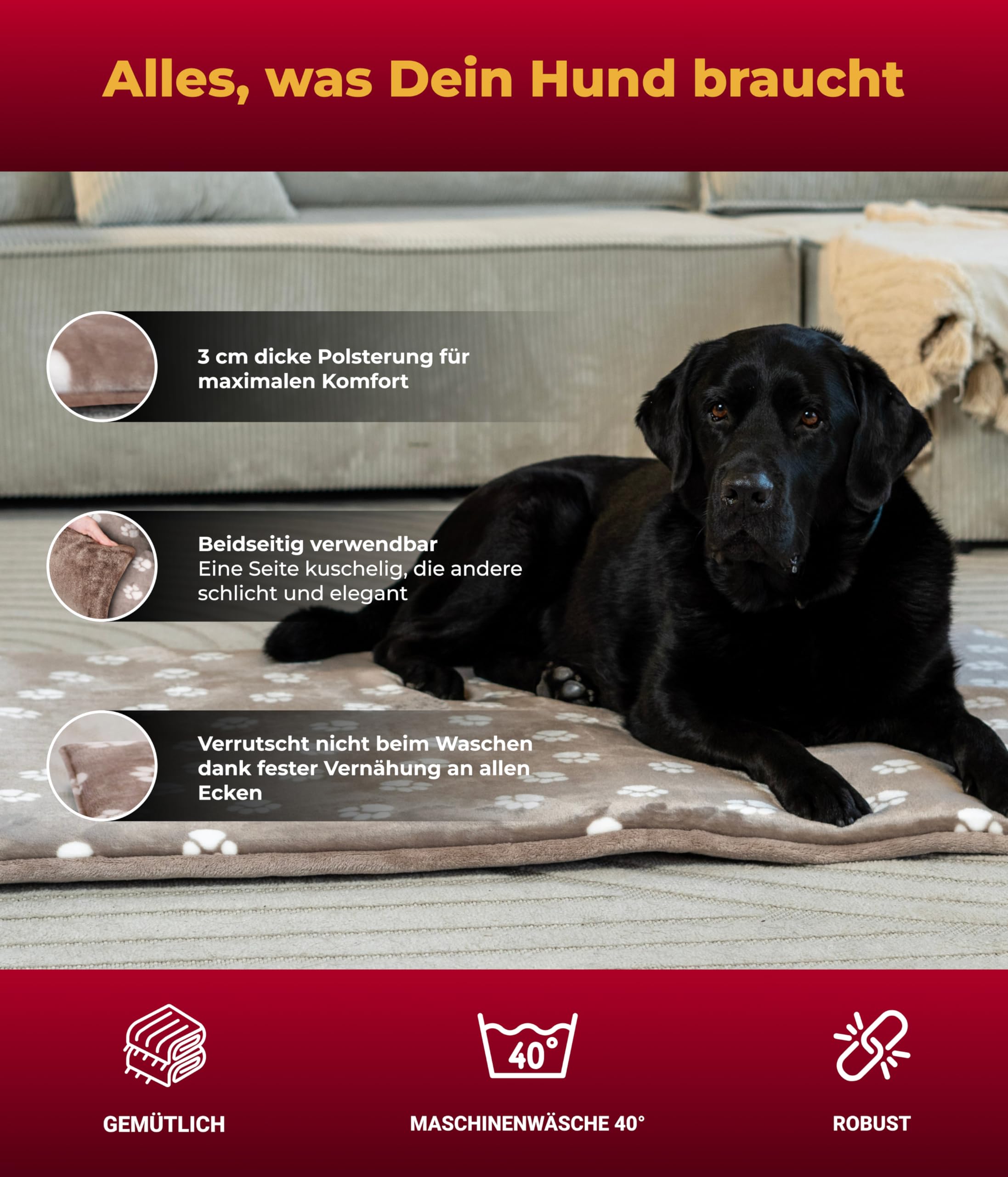 Hundedecke L (75x115 cm) – Wendbar & gemütlich Dank 3 cm Füllung – Perfekt fürs Sofa, Auto & Hundebox – Tatze Beige, Made in DE