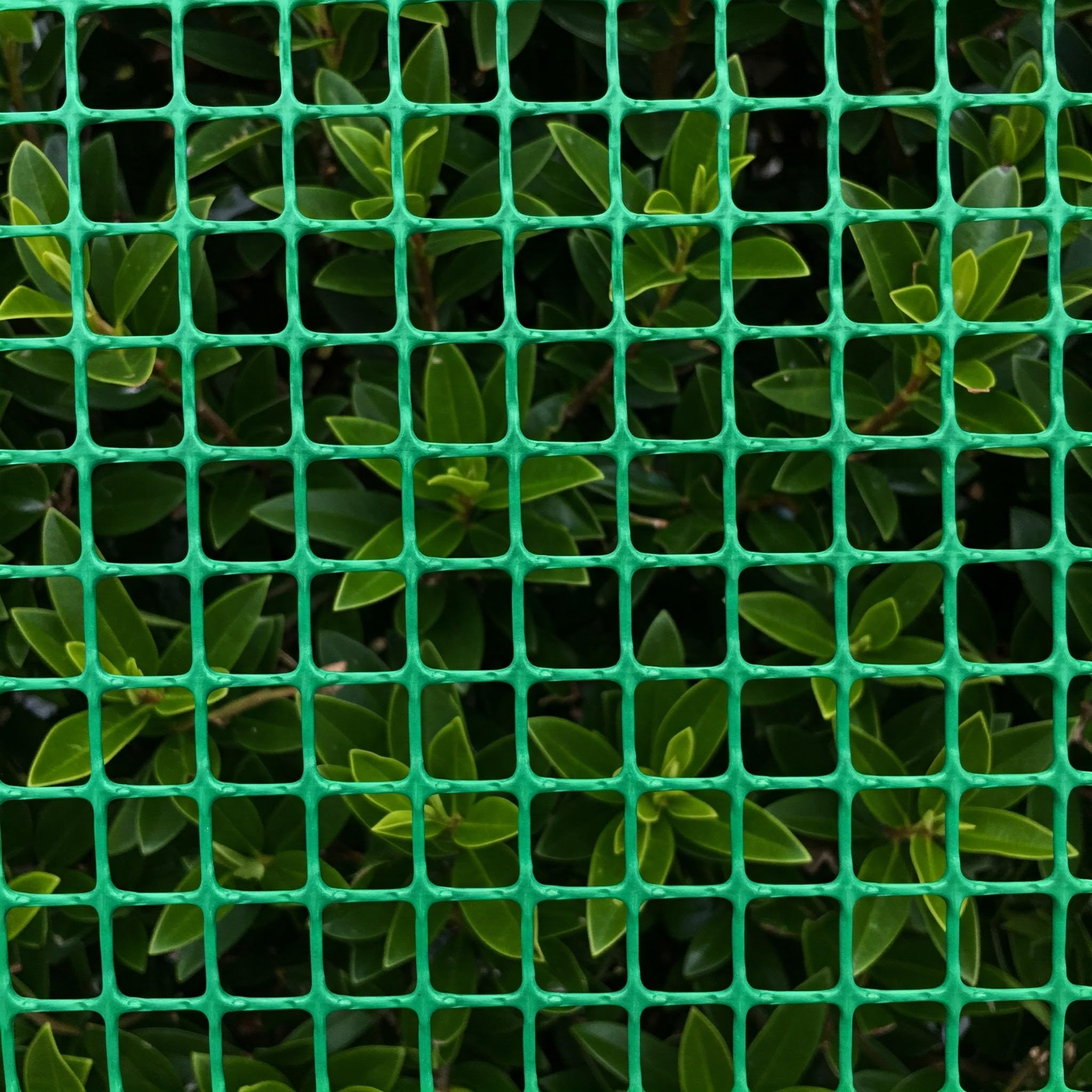Bobina Malla Plastica Verde | Cuadricula 10mm | 1x30 Metros