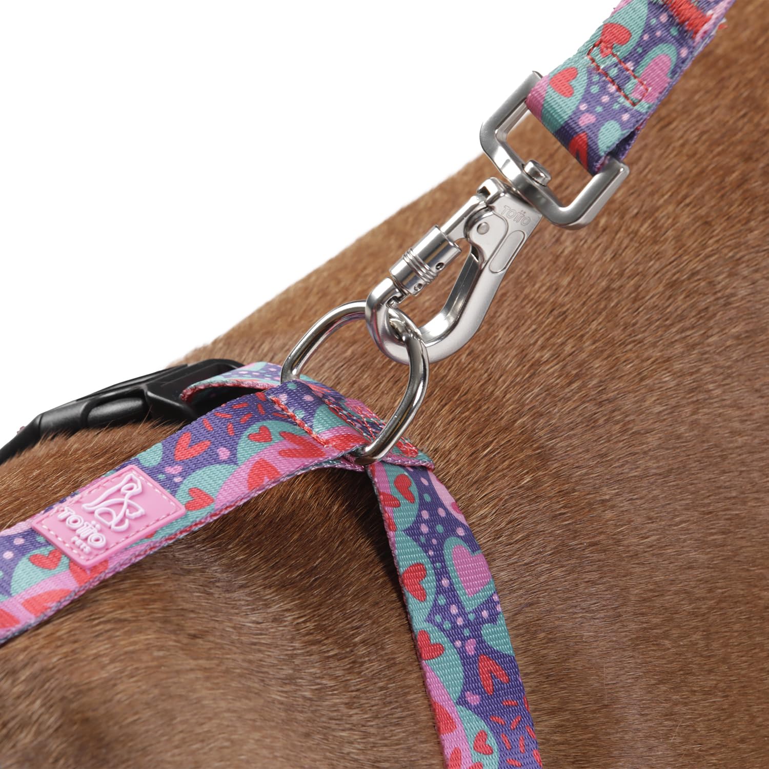 TOTTO, Large Dog Harness, Model Figgo, Size L, Dog Breastplate, Type H, Adjustable, Reduces Pressure in Trachea - Image 4